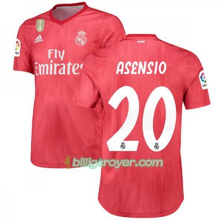 Billige Fotballdrakter Real Madrid ASENSIO 20 Tredjedraktsett 2018/19 Kortermet